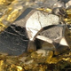 Image for article titled Scientists learn the secret of a famous anti-superconductor